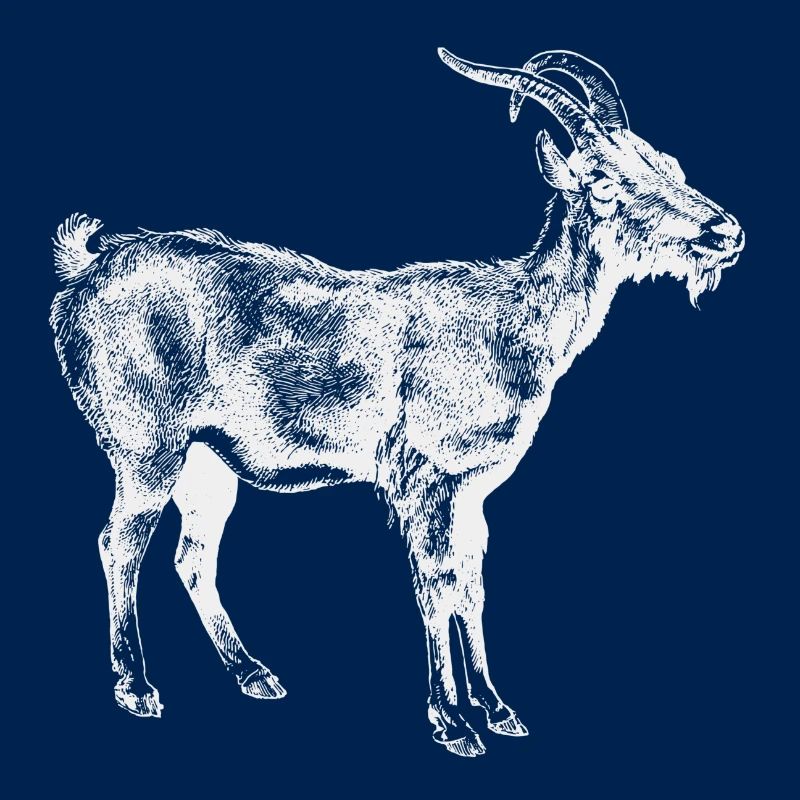 White Goat