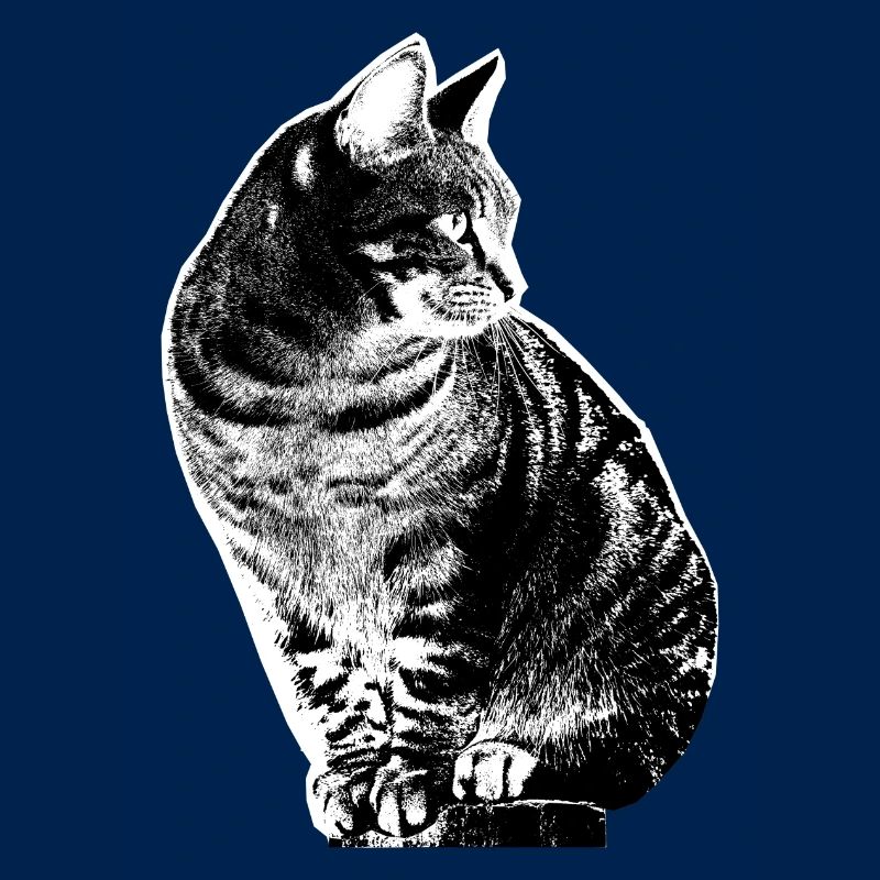 Katzen getigert Hauskatze