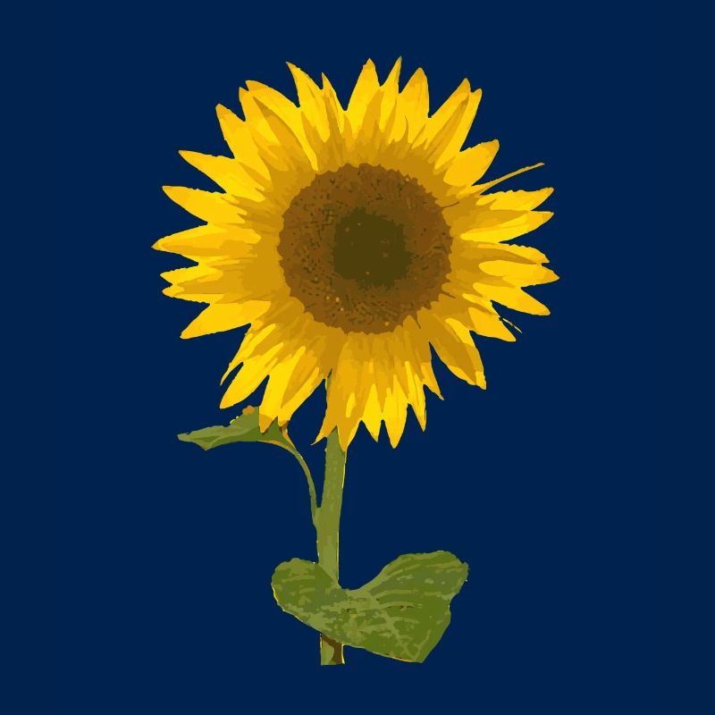 Sonneblume