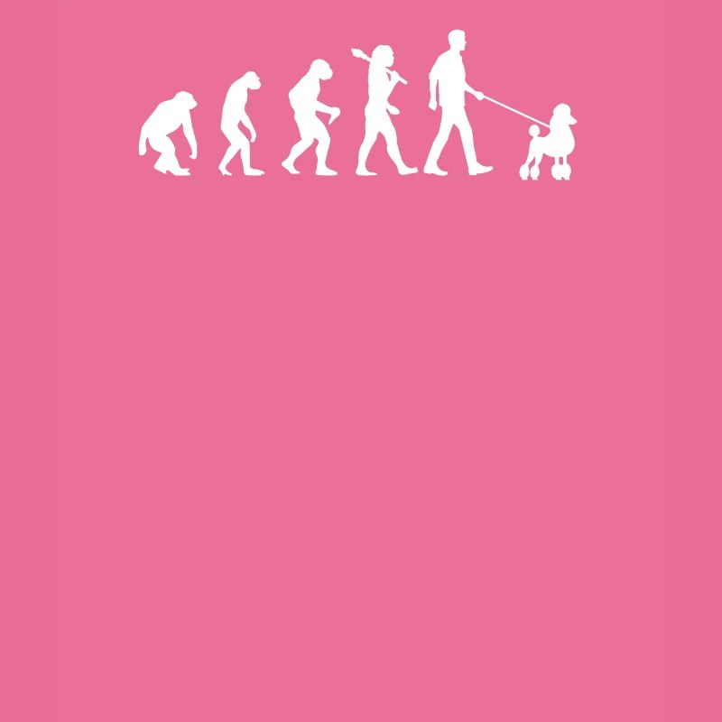 Evolution des Caniches