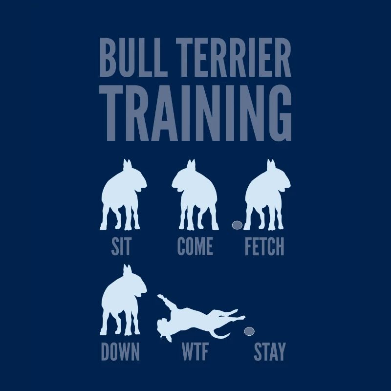 Bullterrier Training