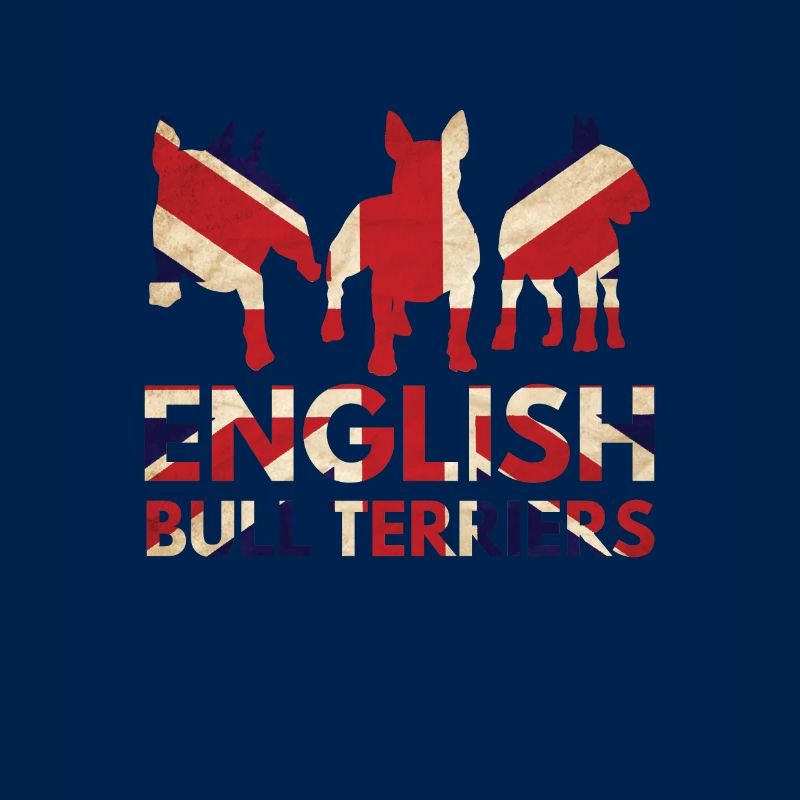 Englische Bullterrier Union Jack