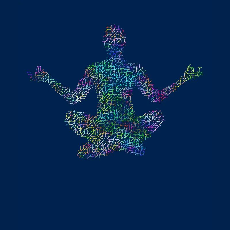 Psychedelic Meditation