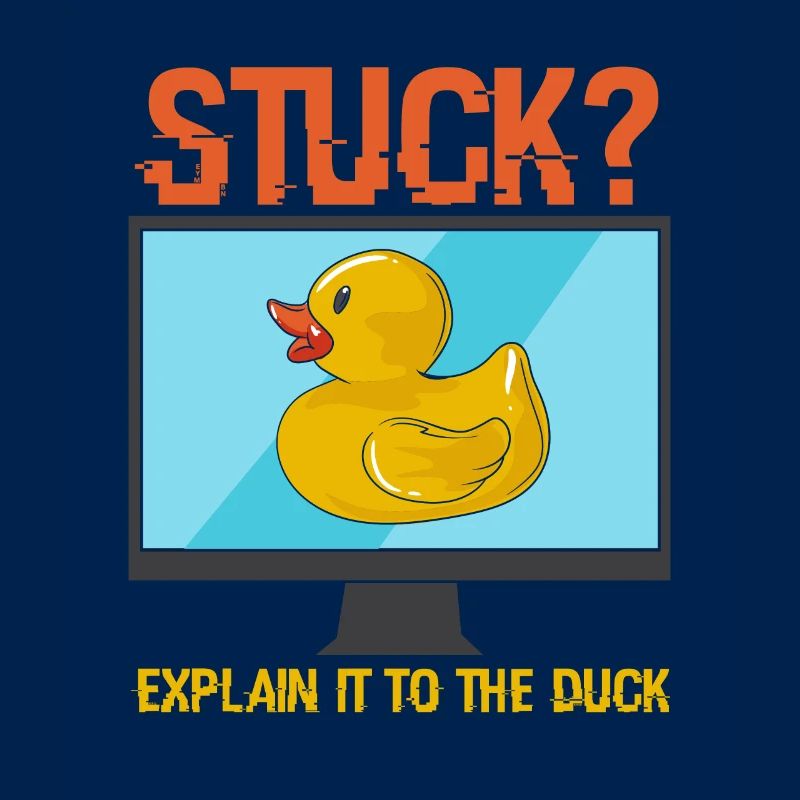 PROGRAMME: Explain It To The Duck