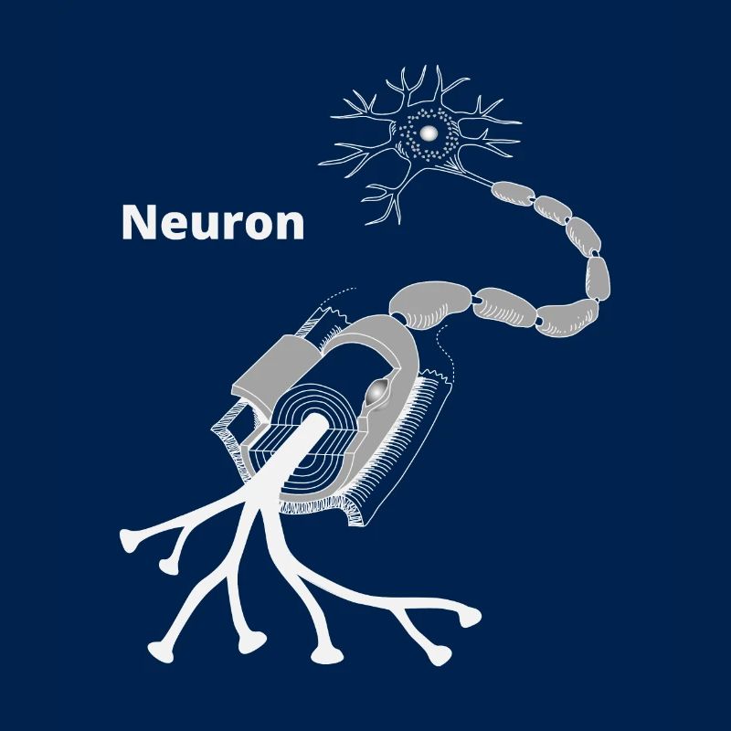 Neuron