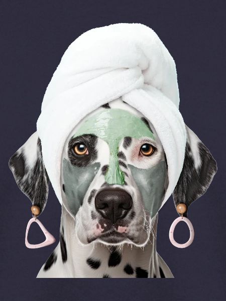 Wellness Dalmatinerin