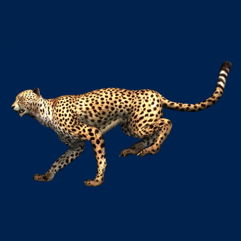 Gepard - Leopard beim Rennen