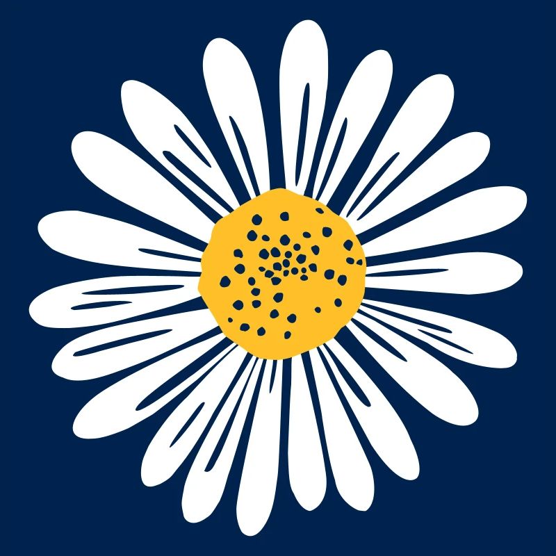 Gänseblume