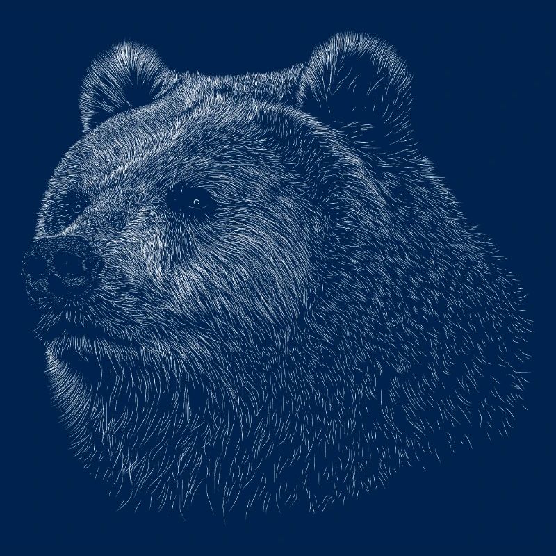 Bear Grizzly