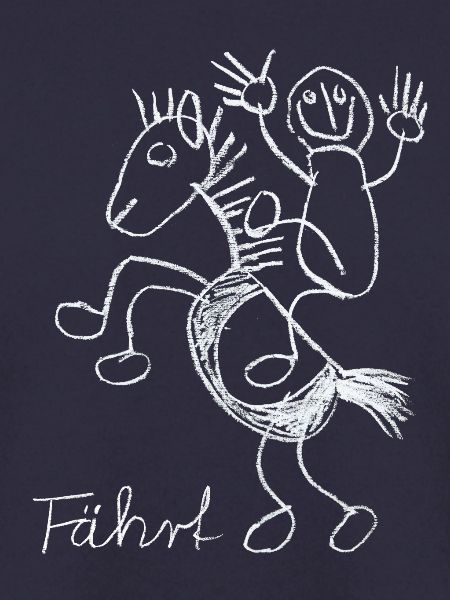 Pferd, Fährt