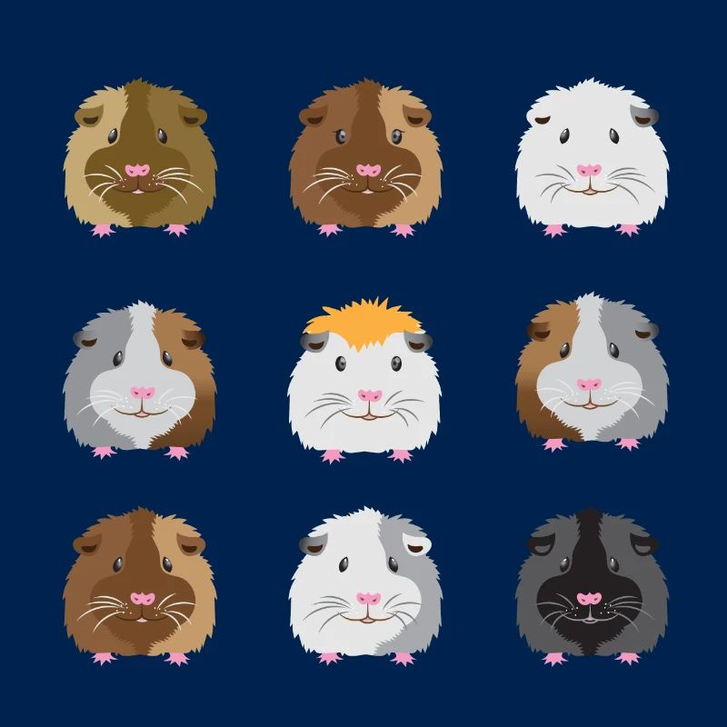 Neuf visages de cobayes