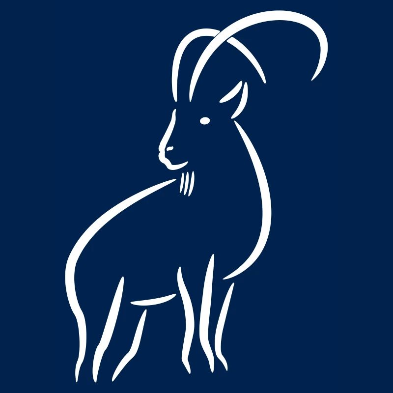 Steinbock Strichzeichnung