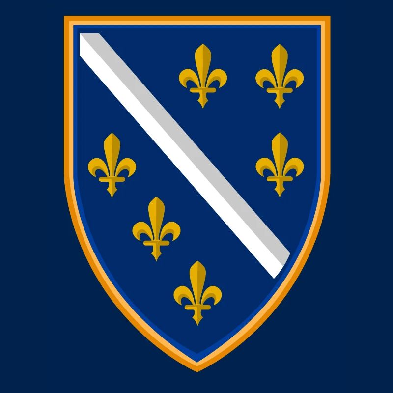 BiH Bosna