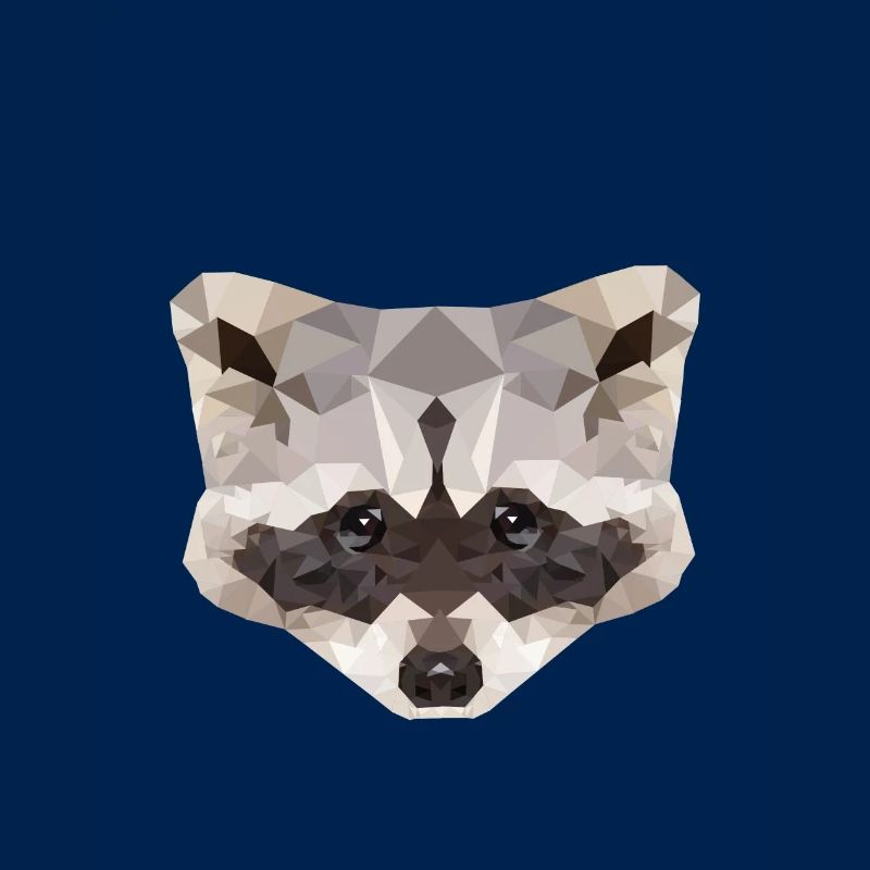Waschbär Polygon