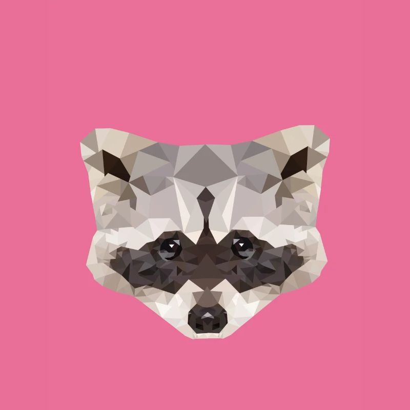 Waschbär Polygon