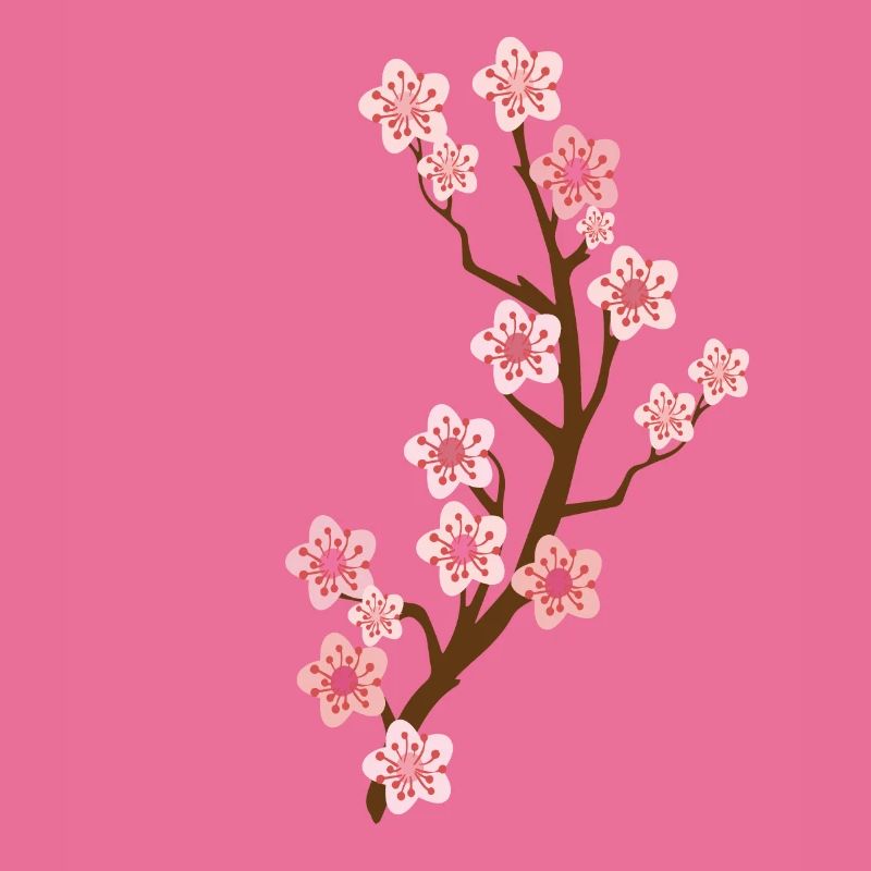 kirschblüte