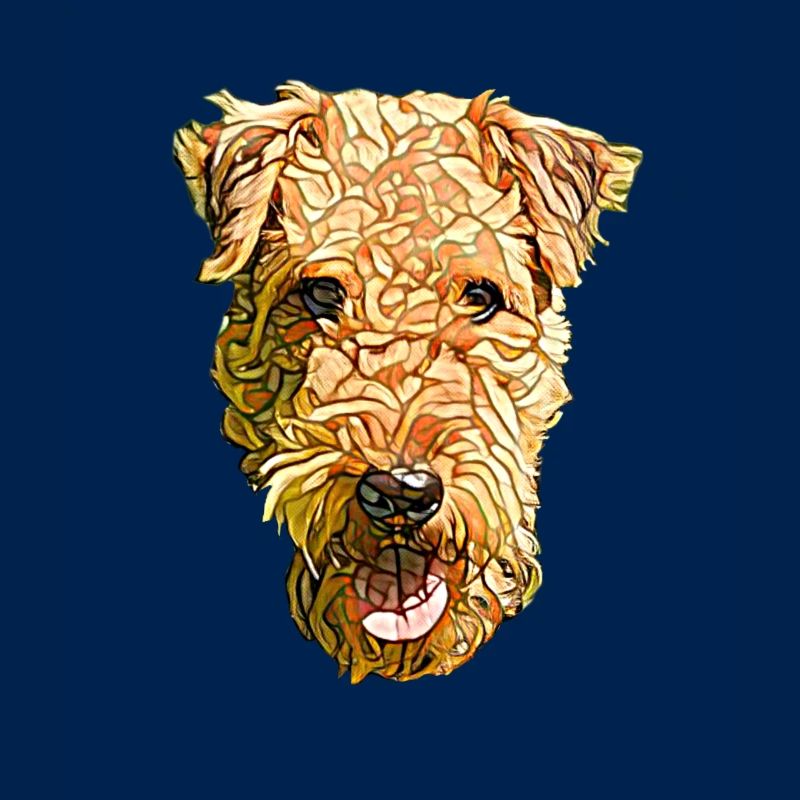 Airedale Terrier Gesicht