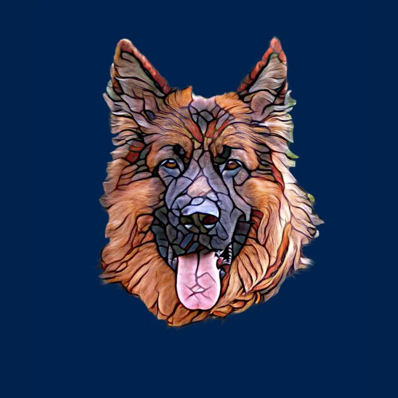 Deutscher Schäferhund Gesicht