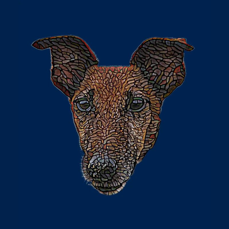 Visage lisse de Fox Terrier