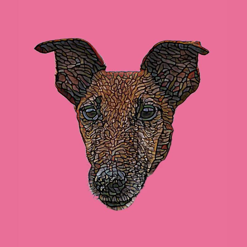 Smooth Fox Terrier Face