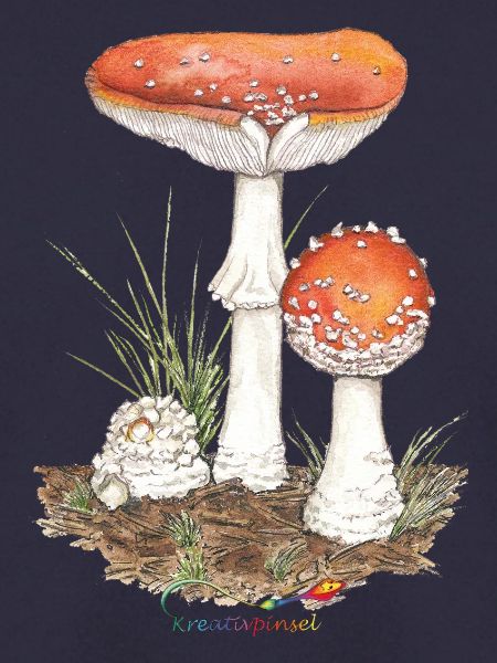 Fliegenpilz