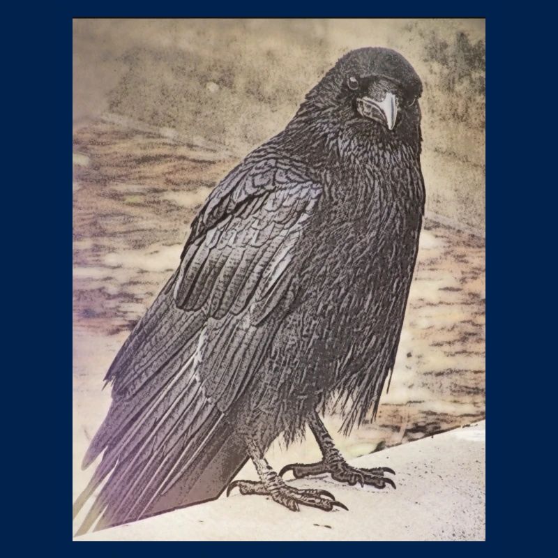 Vögel