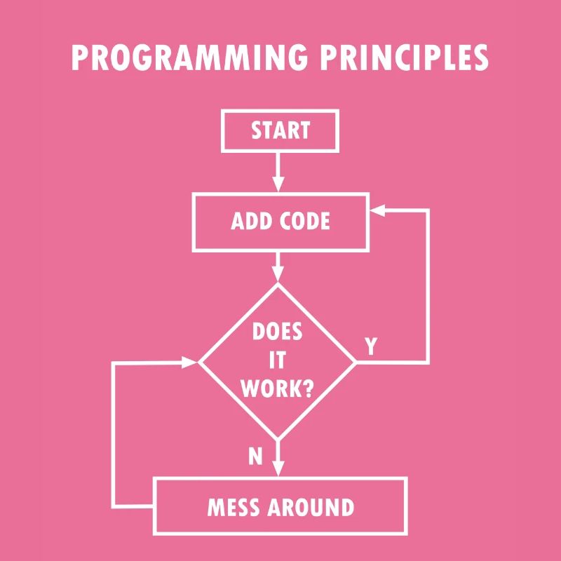 Programming principles computer science nerd