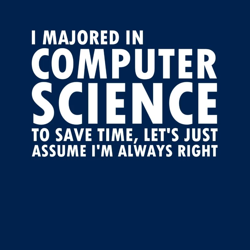 Ingénieur informatique programmeur
