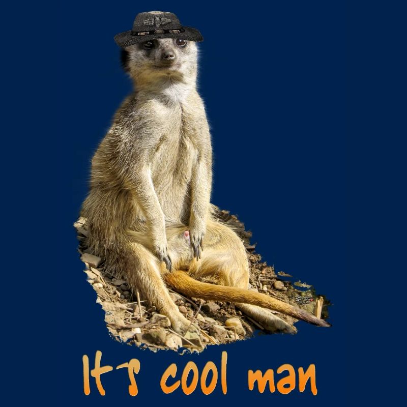 It´s cool man