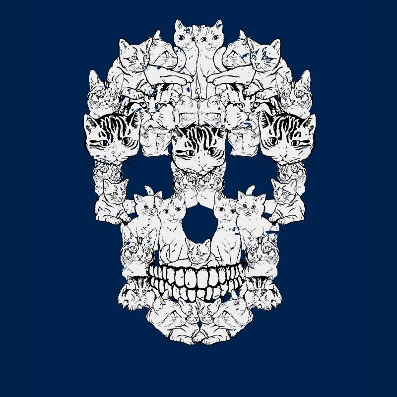 Cats skull