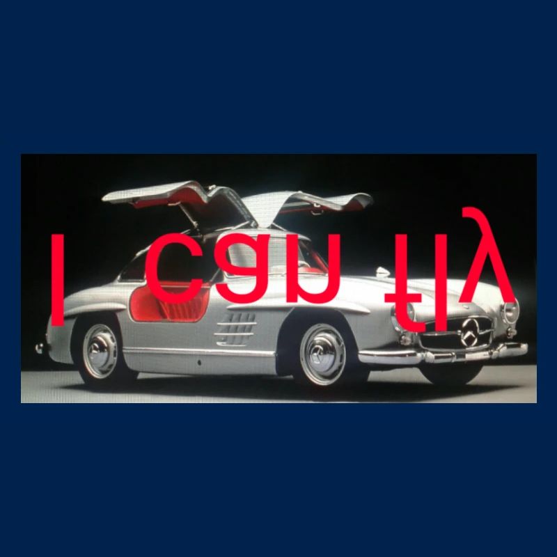 sls - I can fly