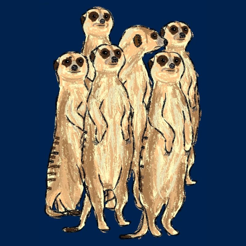 Erdmännchen / Meerkat Design