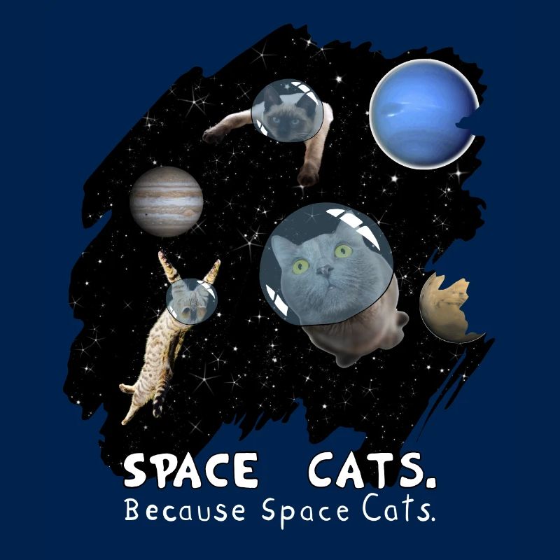 Space Cats Epic Galaxy Space Gift
