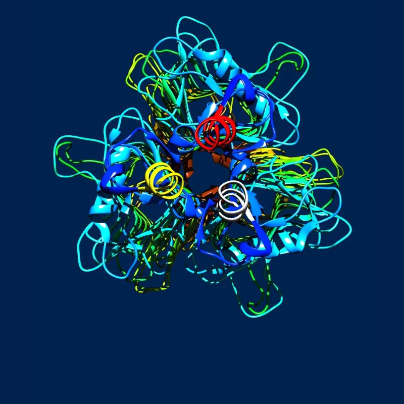 Native Tailspike Protein Molecule Bacteriophage