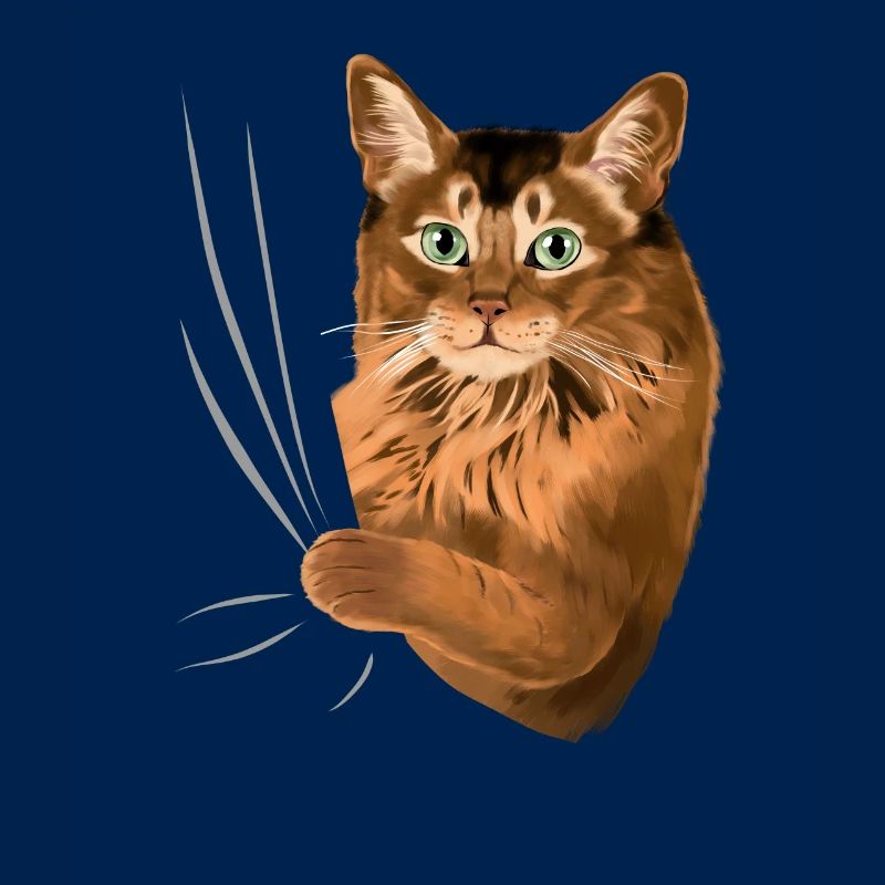 Somalikatze