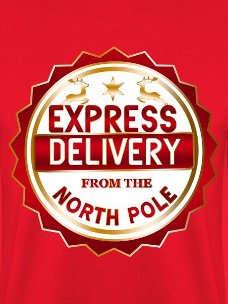 North Pole Express-Lieferung
