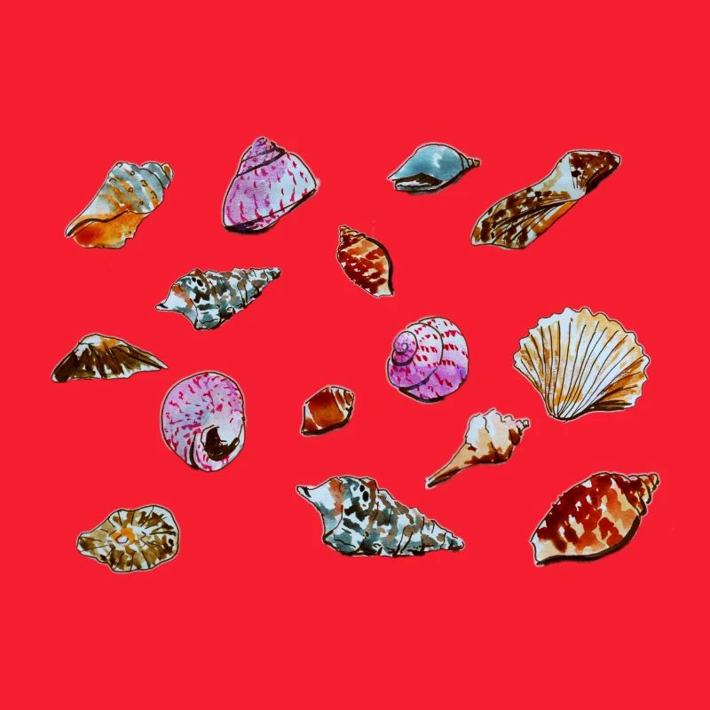 Colourful Seashells Marine Pattern