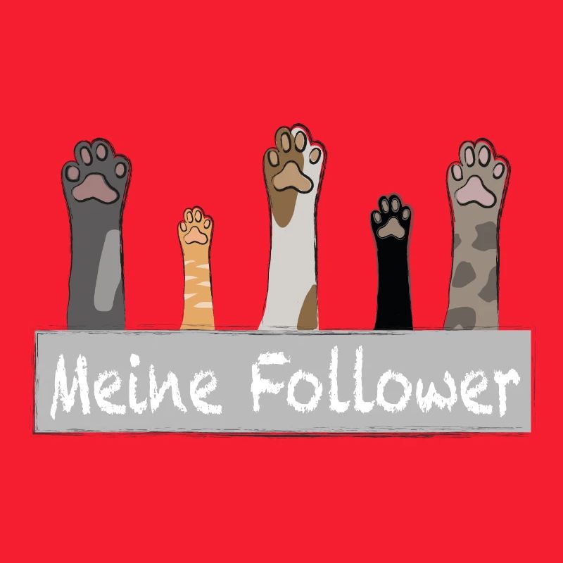 Meine Follower - Katzenpfoten