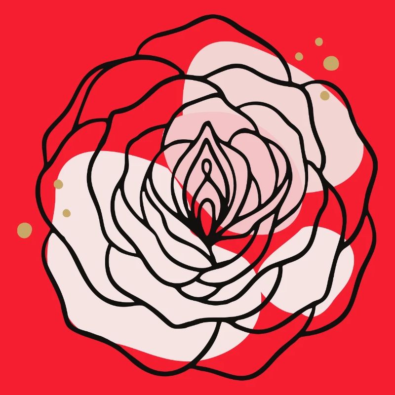 Pink Feminine Rose