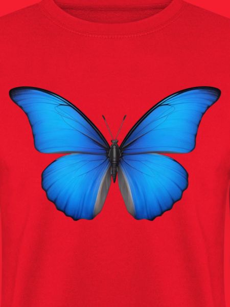 Azurblaue Schmetterlingsflügel