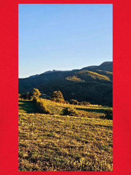 Golden Ridge Panorama