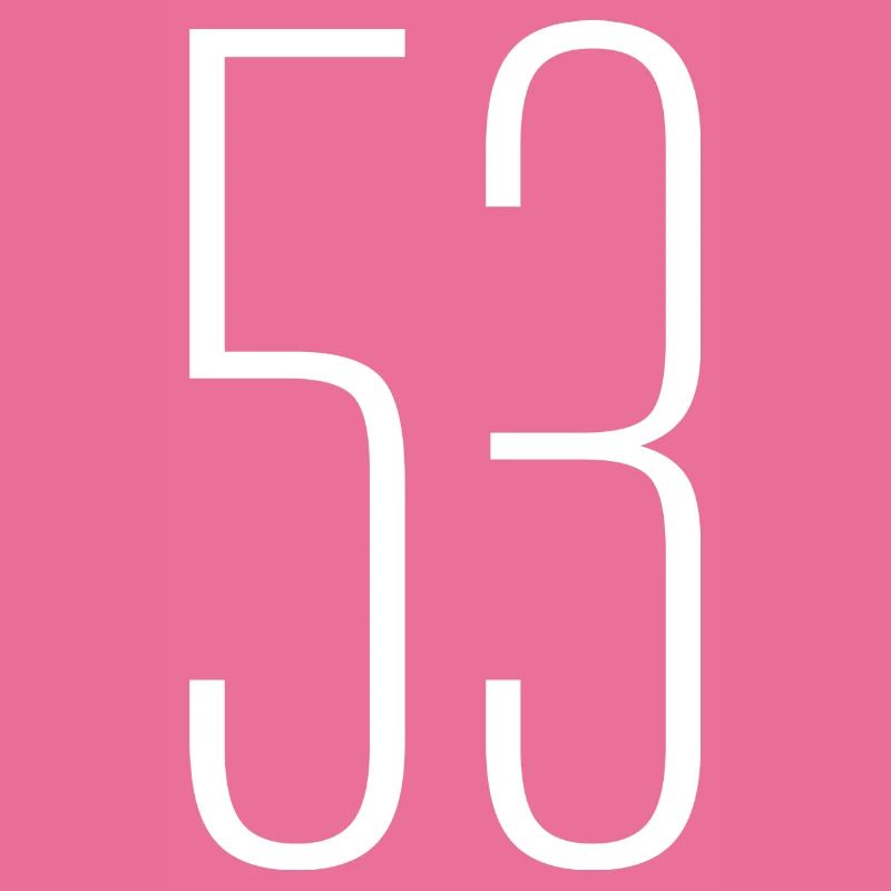 53