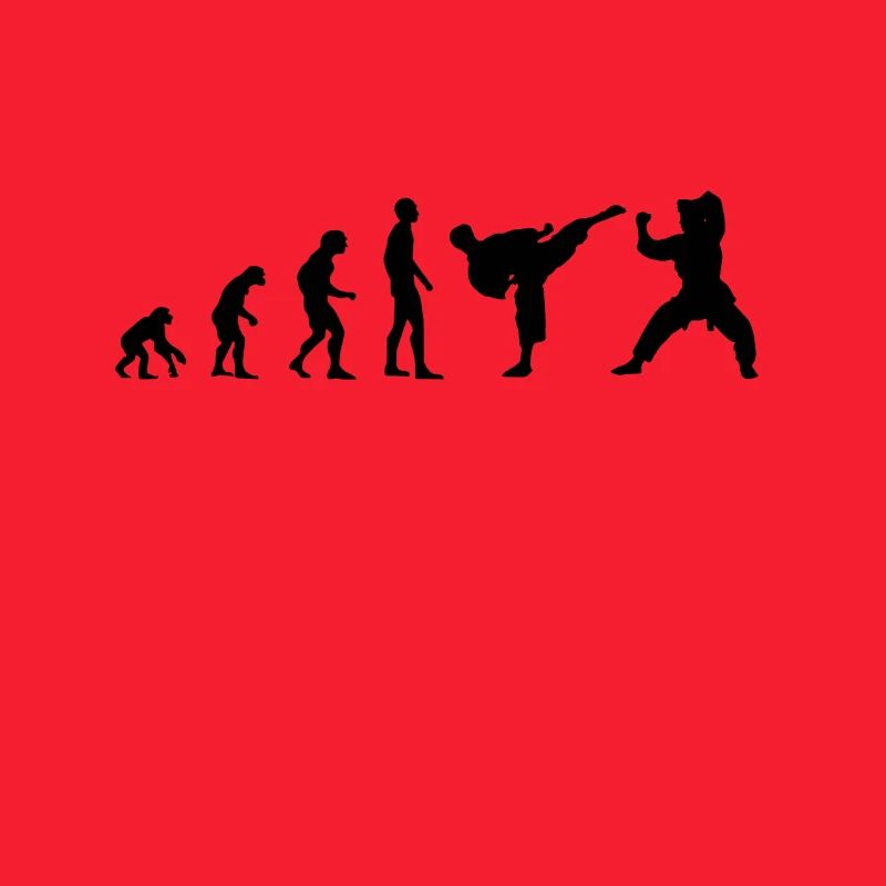 Kampfsport Evolution