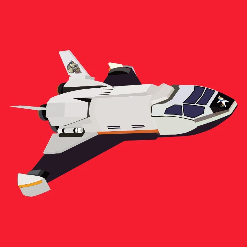 Space Shuttle Flug