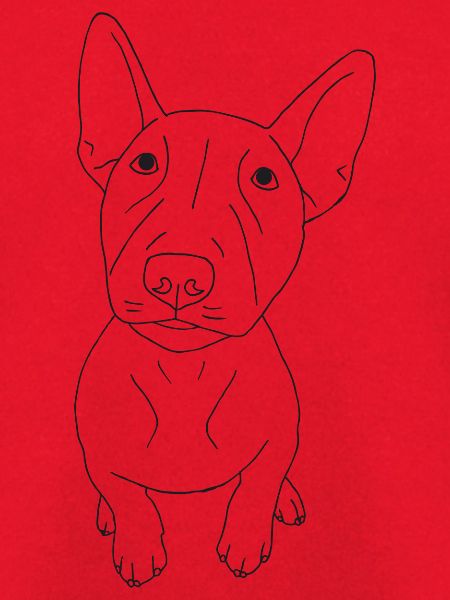 Bullterrier Puppy