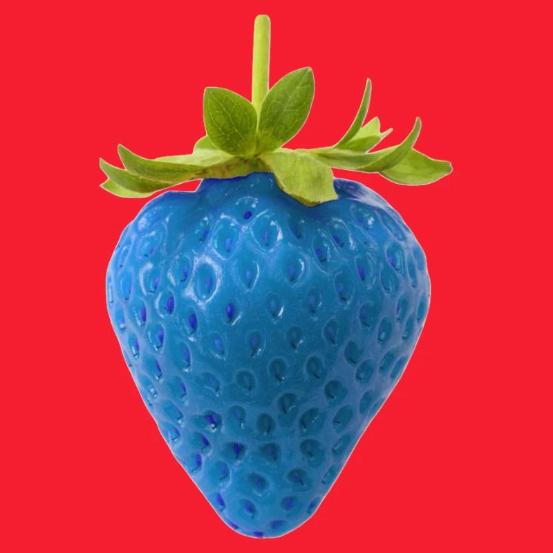 Blue Strawberry