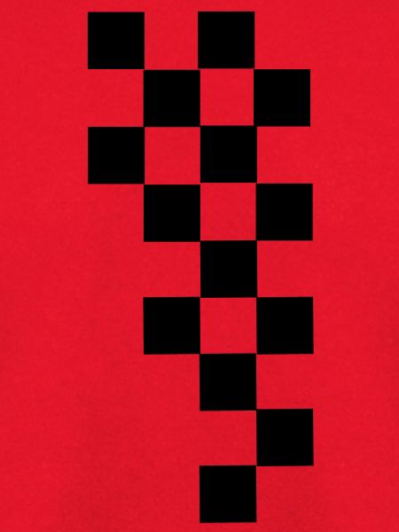 RACING FLAG
