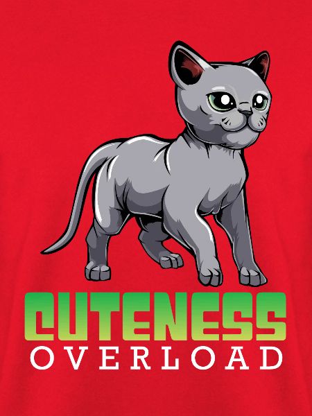Katzen Überdosis Niedlichkeit