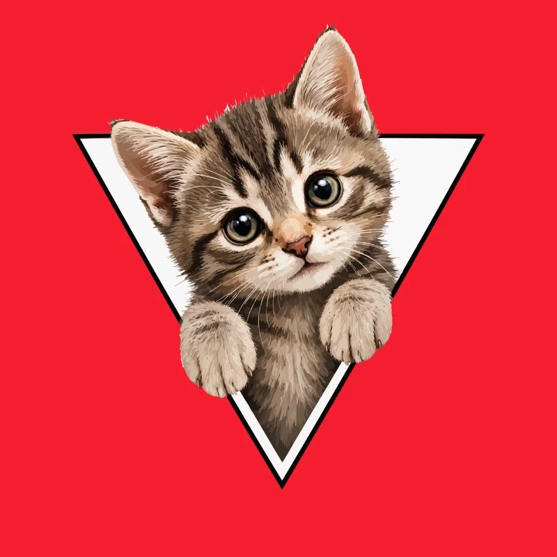 Kitten in the triangle