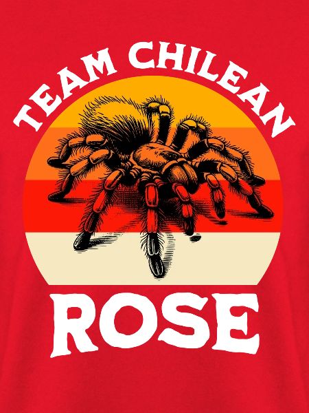 Team Chile Vogelspinne